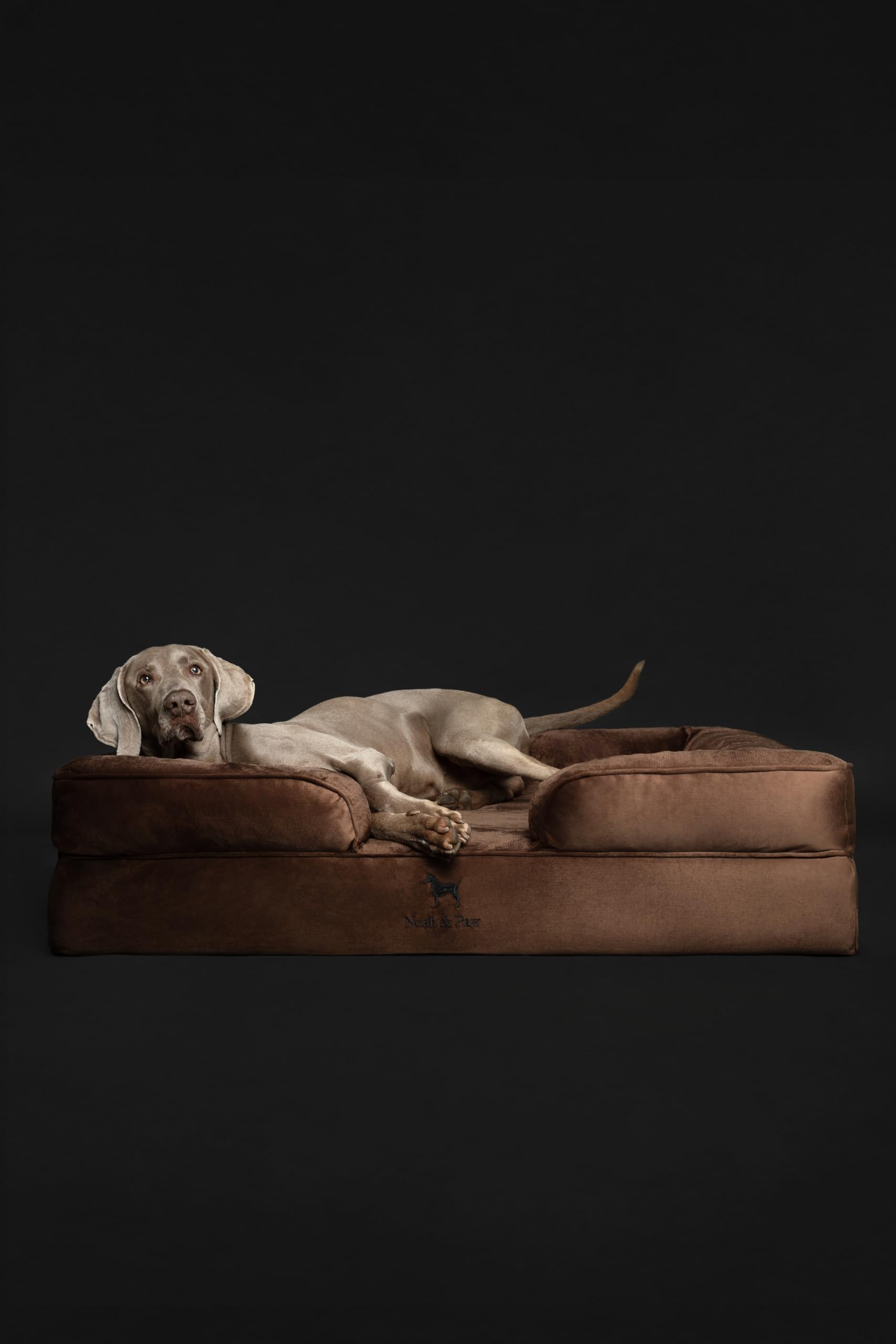 NOAH & PAW XL medidas 45x35x11 para perros grandes