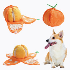 Nocciola Mandarina Exterior: estimula juego interactivo en perros pequeños