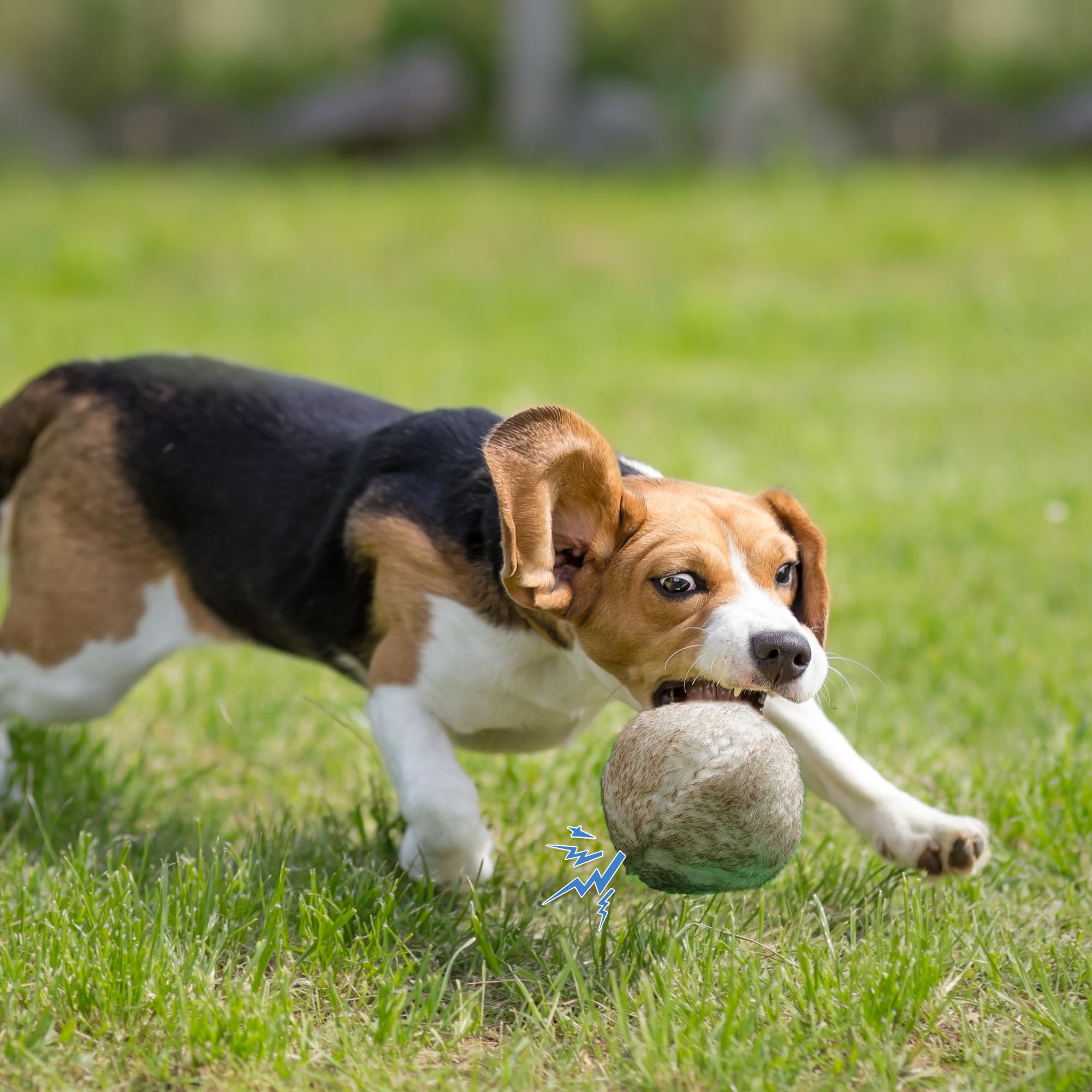 Nocciola Pelota: favorece la interacción entre perro y dueño durante el juego.