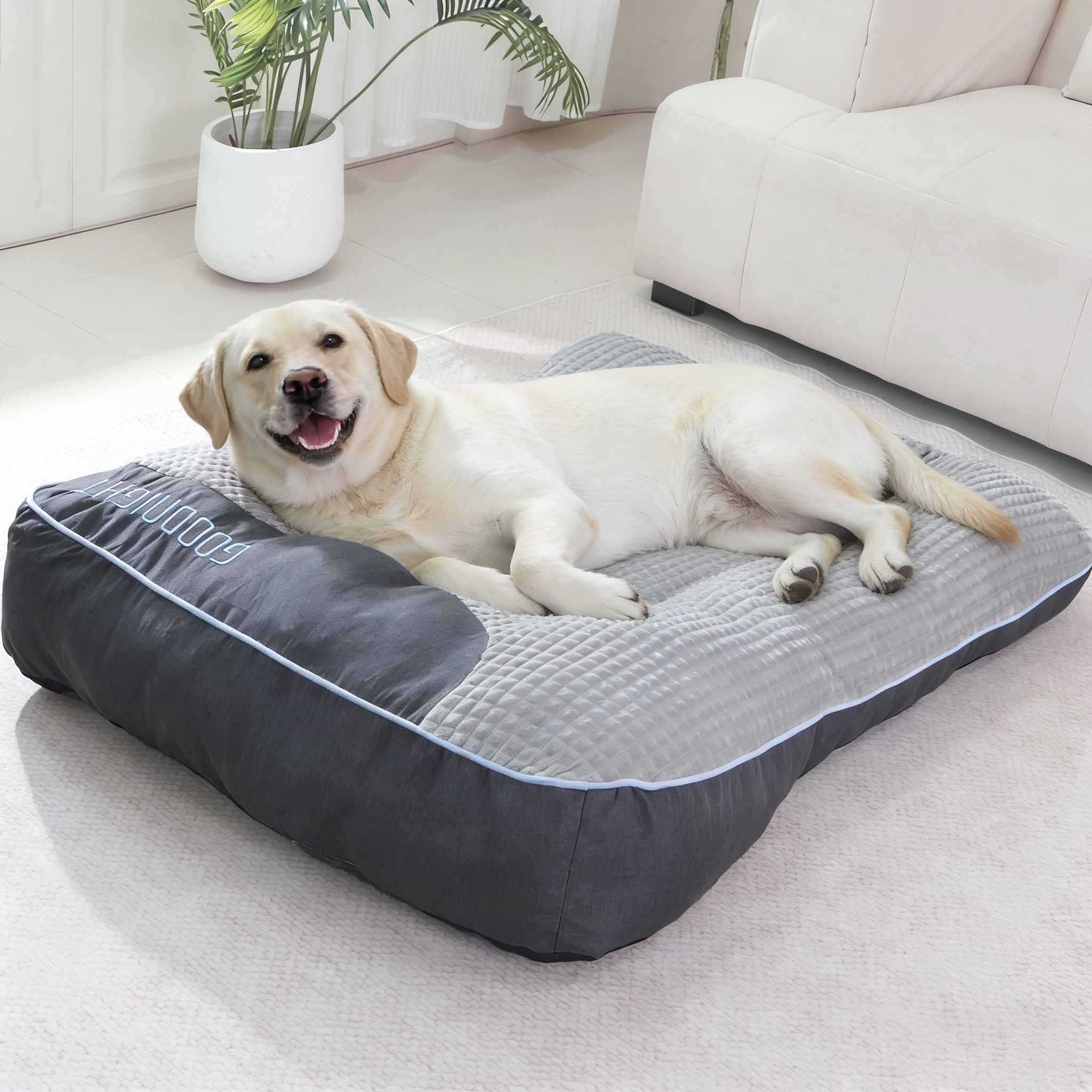 NOFKYNOXA Cama ortopédica gruesa para perros, gris, con soporte cómodo para articulaciones.