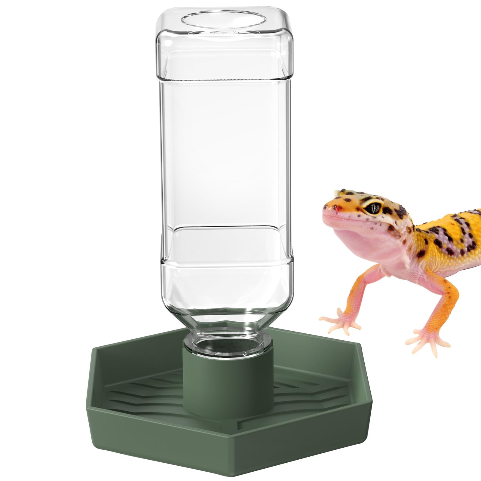 NOMOY Dispensador de agua para reptiles con base hexagonal estable.