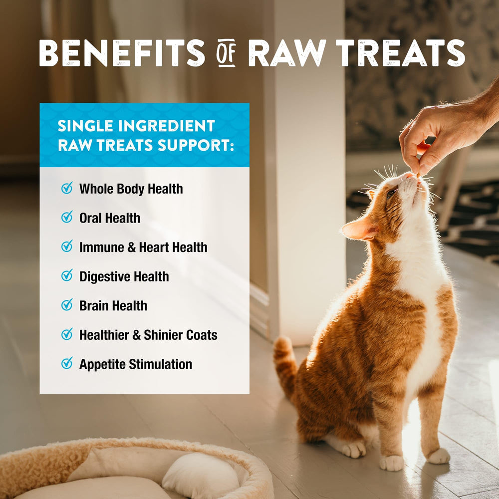 Northwest Naturals Minnow tentempié natural sin aditivos para mascotas durante viajes.