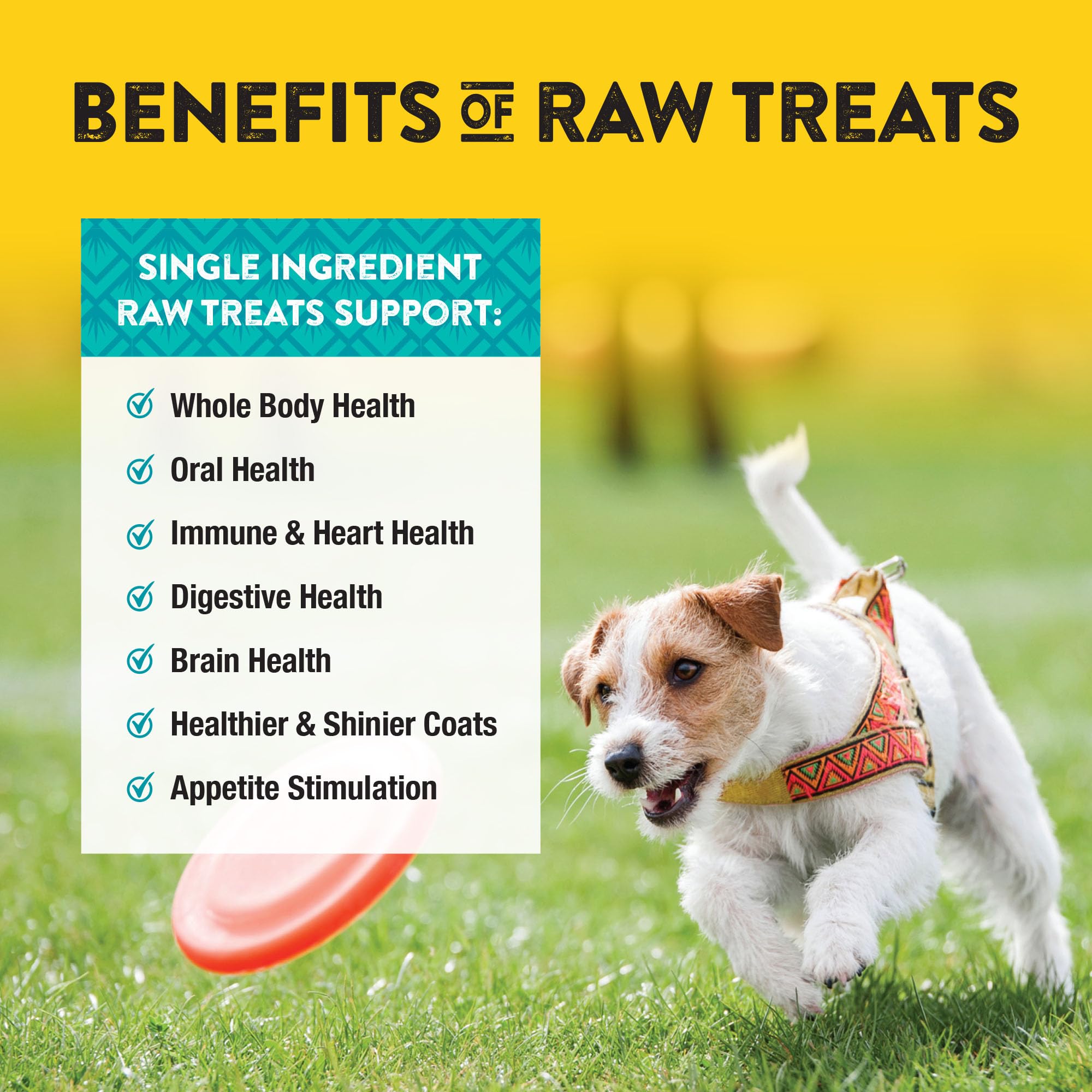 Northwest Naturals ideal para adiestramiento: refuerzo positivo con sabor natural.