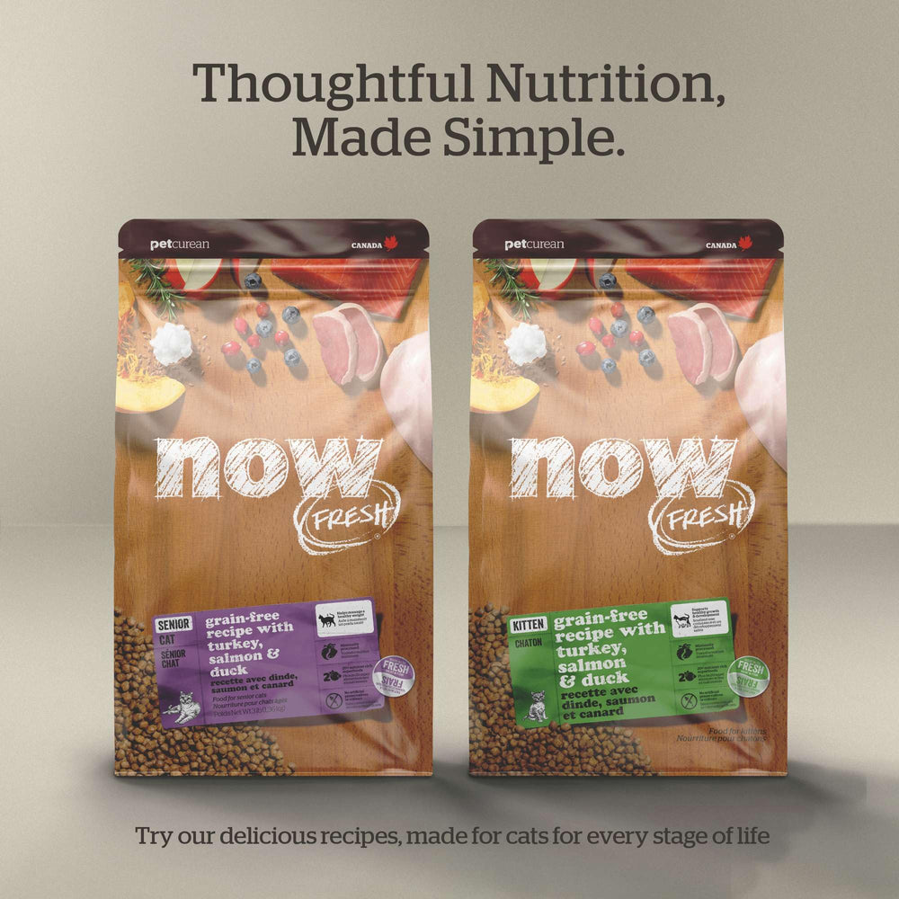 Now Fresh probióticos en croquetas para apoyo digestivo diario