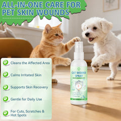 Nozerix aerosol para heridas de gato, uso en patas para comodidad diaria.