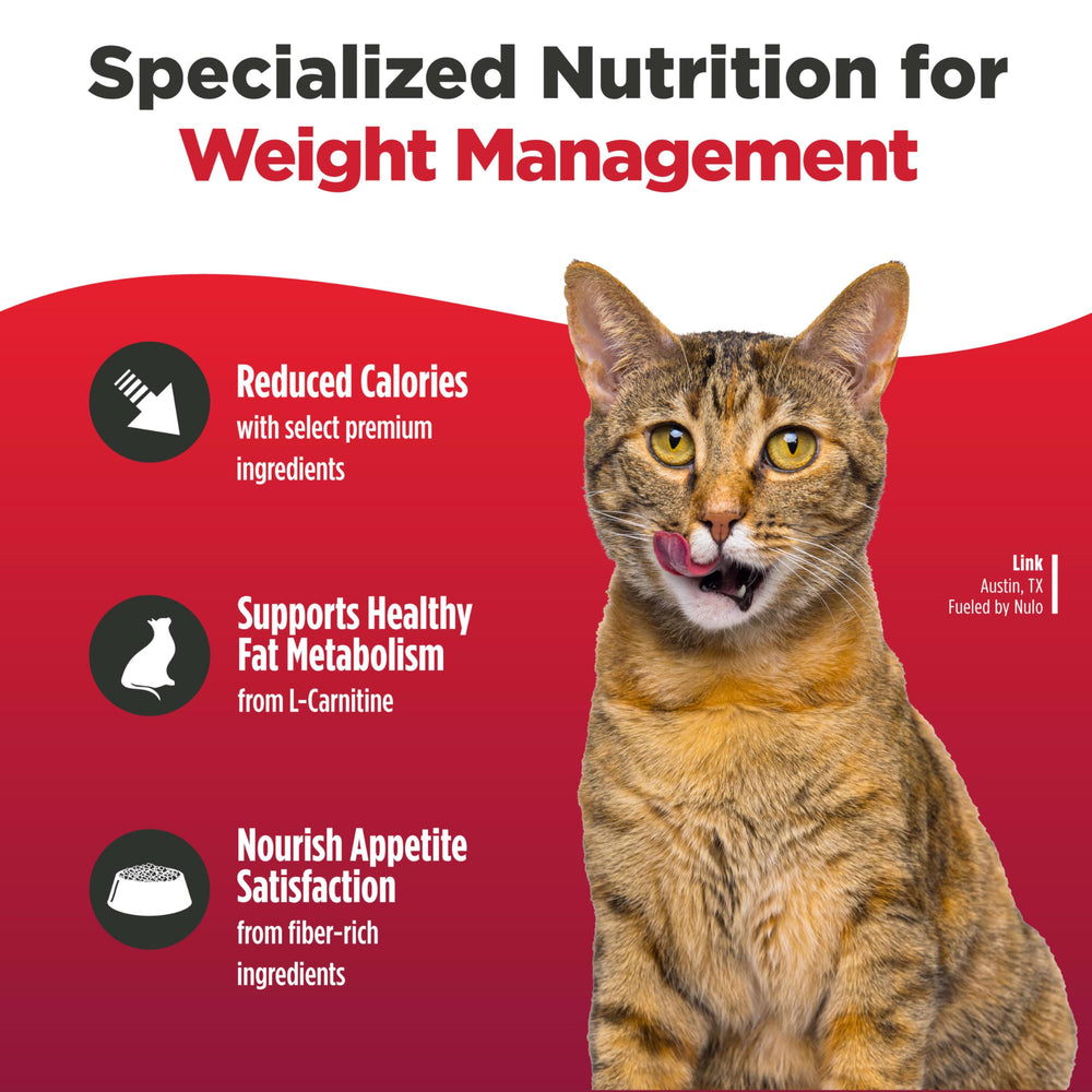 Nulo Freestyle Trim L-Carnitine soutient le métabolisme des graisses et l'énergie.