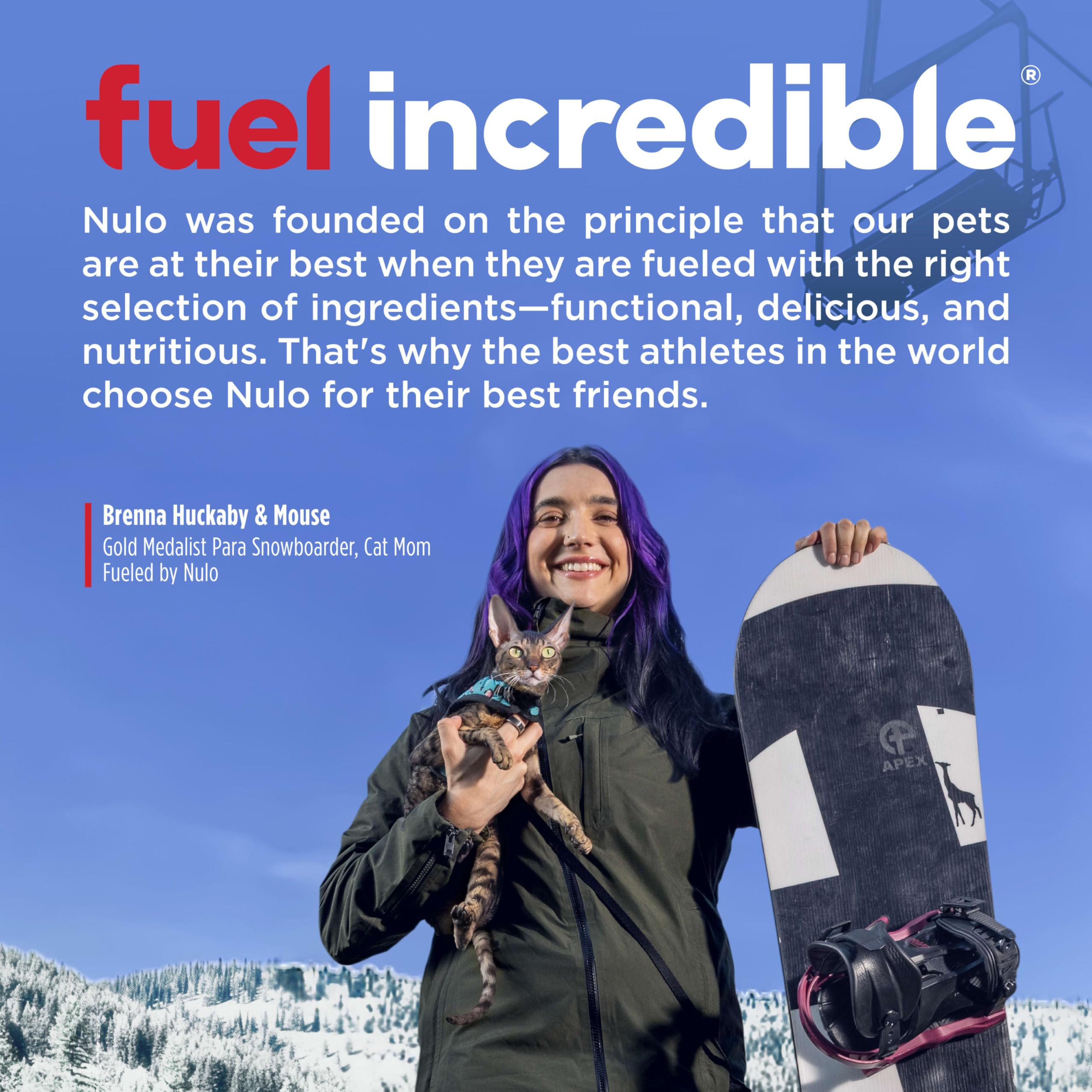 Nulo Freestyle Indoor, pelaje brillante gracias a omega 3 y 6