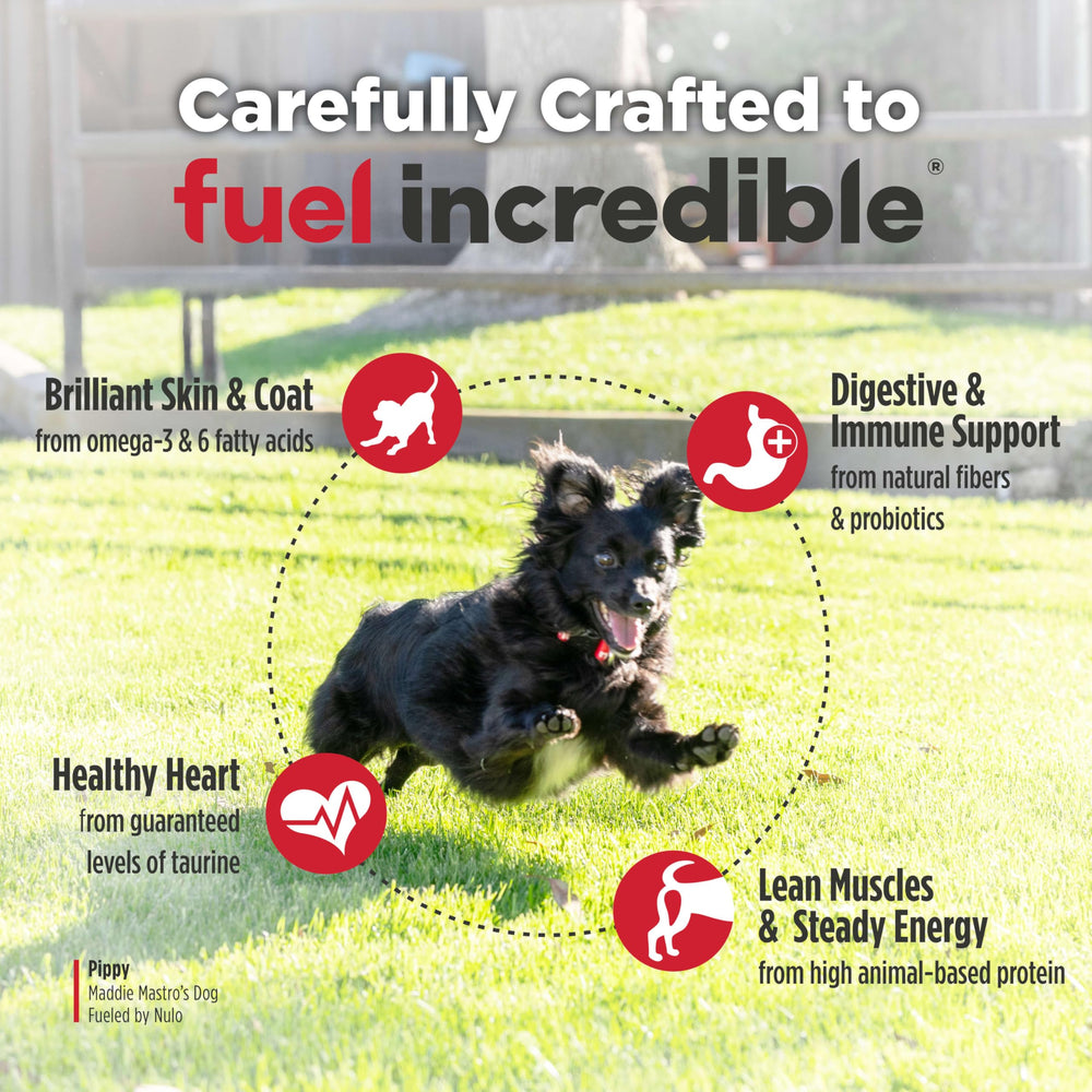 Nulo Freestyle probióticos BC30 para digestión y absorción de nutrientes