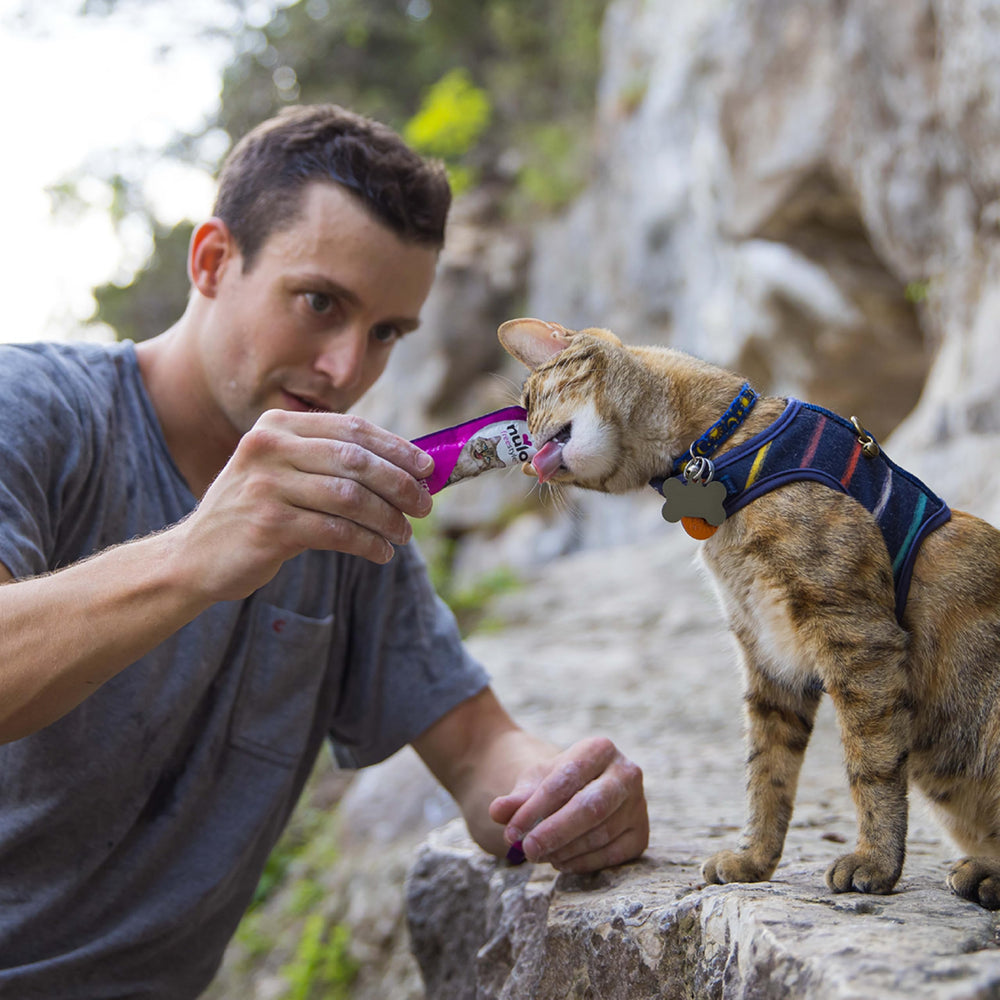 Nulo Purés con alto contenido de humedad para hidratación diaria.