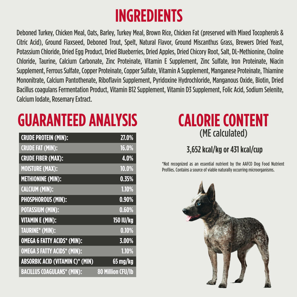 Nulo Frontrunner sin papa ni tapioca, opción para perros con preferencias naturales.