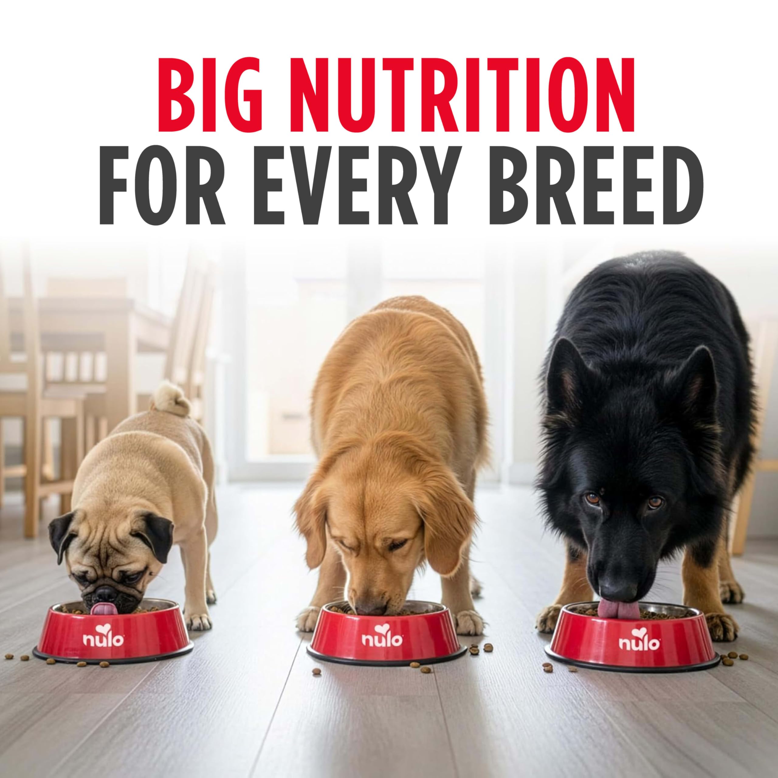 Nulo Frontrunner taurina para apoyo al bienestar cardiovascular del perro.