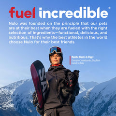 Nulo perro estofado sin maiz sin trigo sin soja