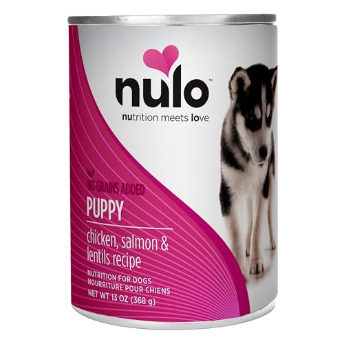 Nulo Puppy: lata abierta para servir en tazón con pollo, salmón y lentejas