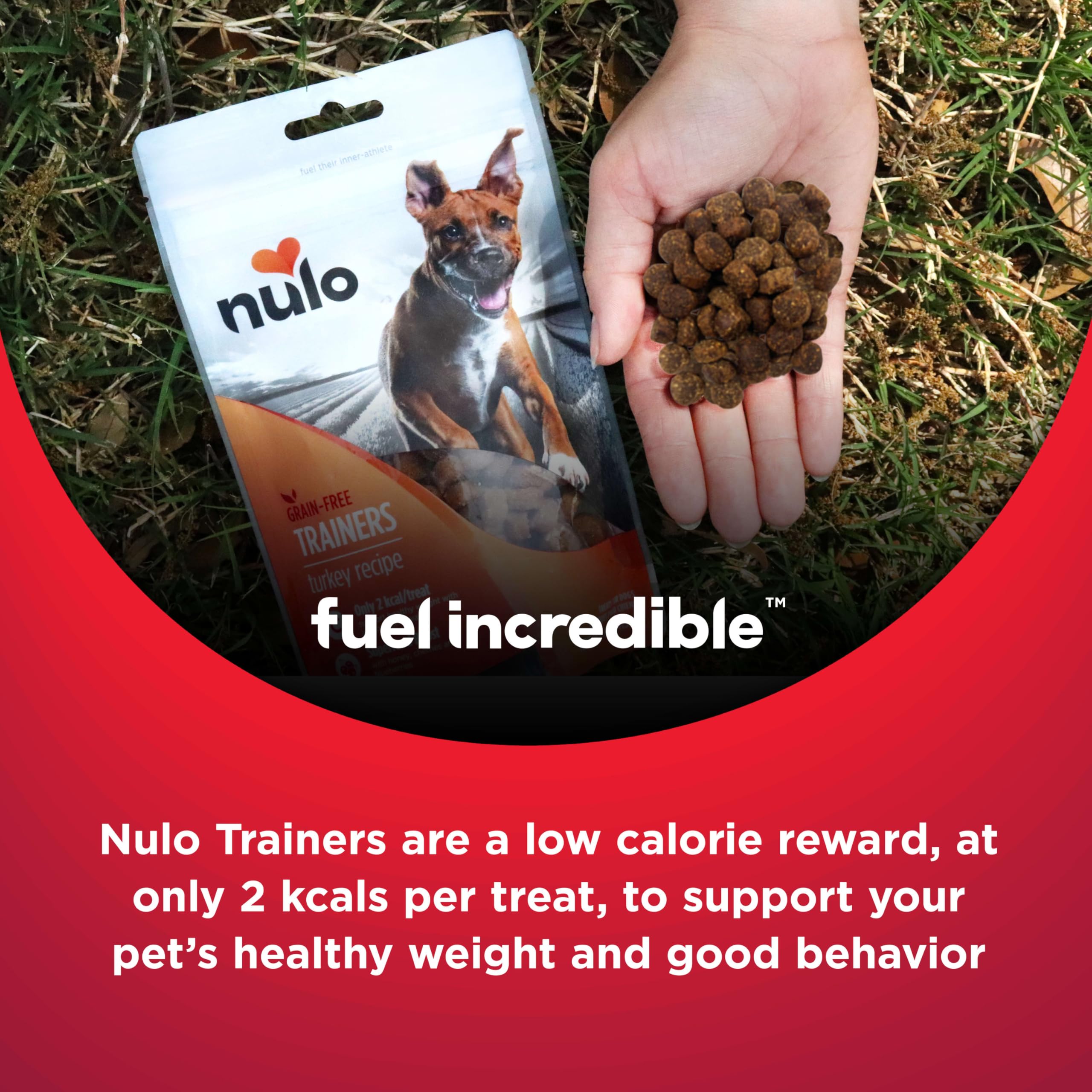 Nulo Trainers Ideal para cachorros y perros adultos en entrenamiento diario