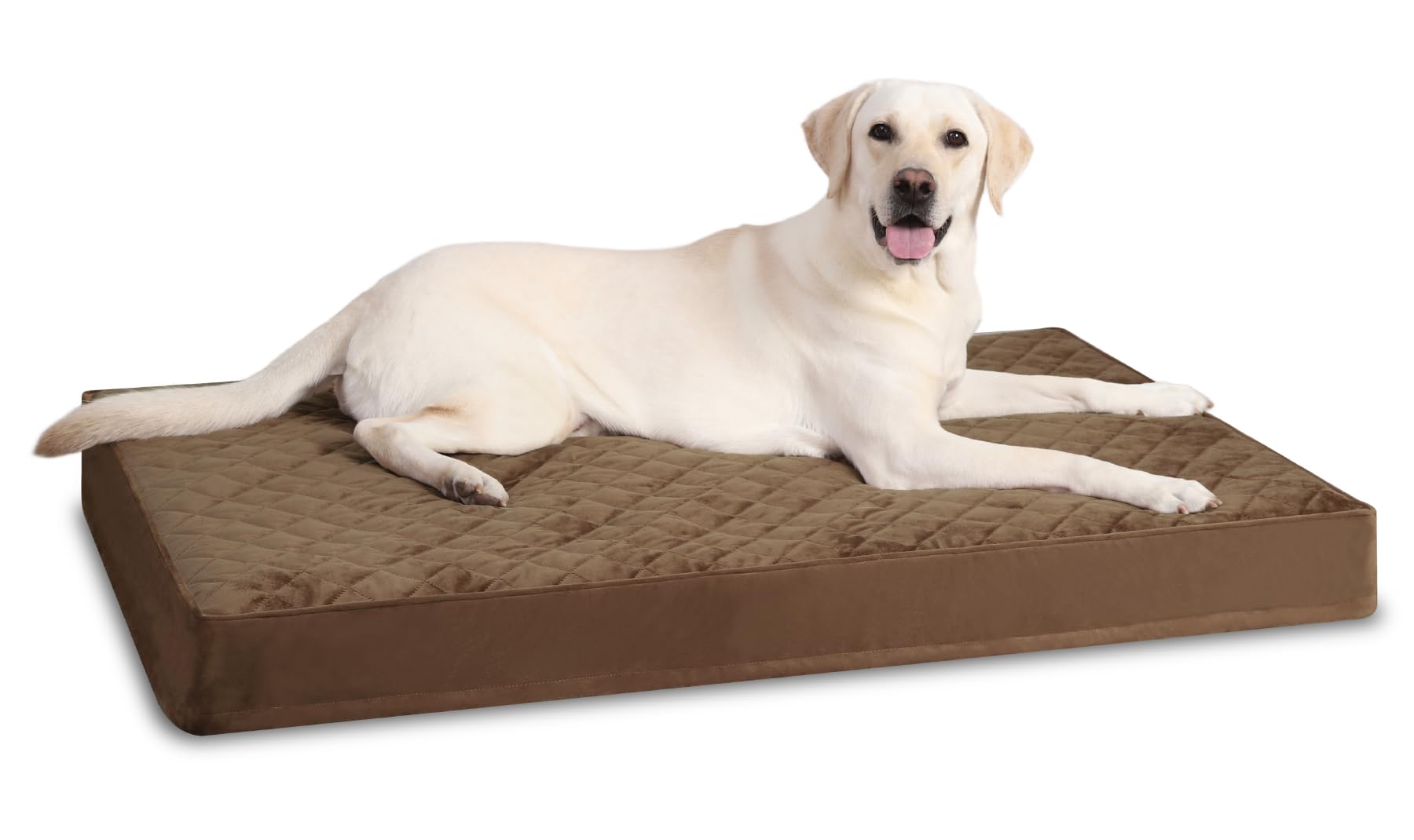 Cama ortopédica NUPIDA XL con funda lavable para perros grandes.