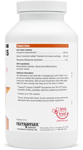 Cosequin DS con glucosamina y condroitina para articulaciones sanas de perros.
