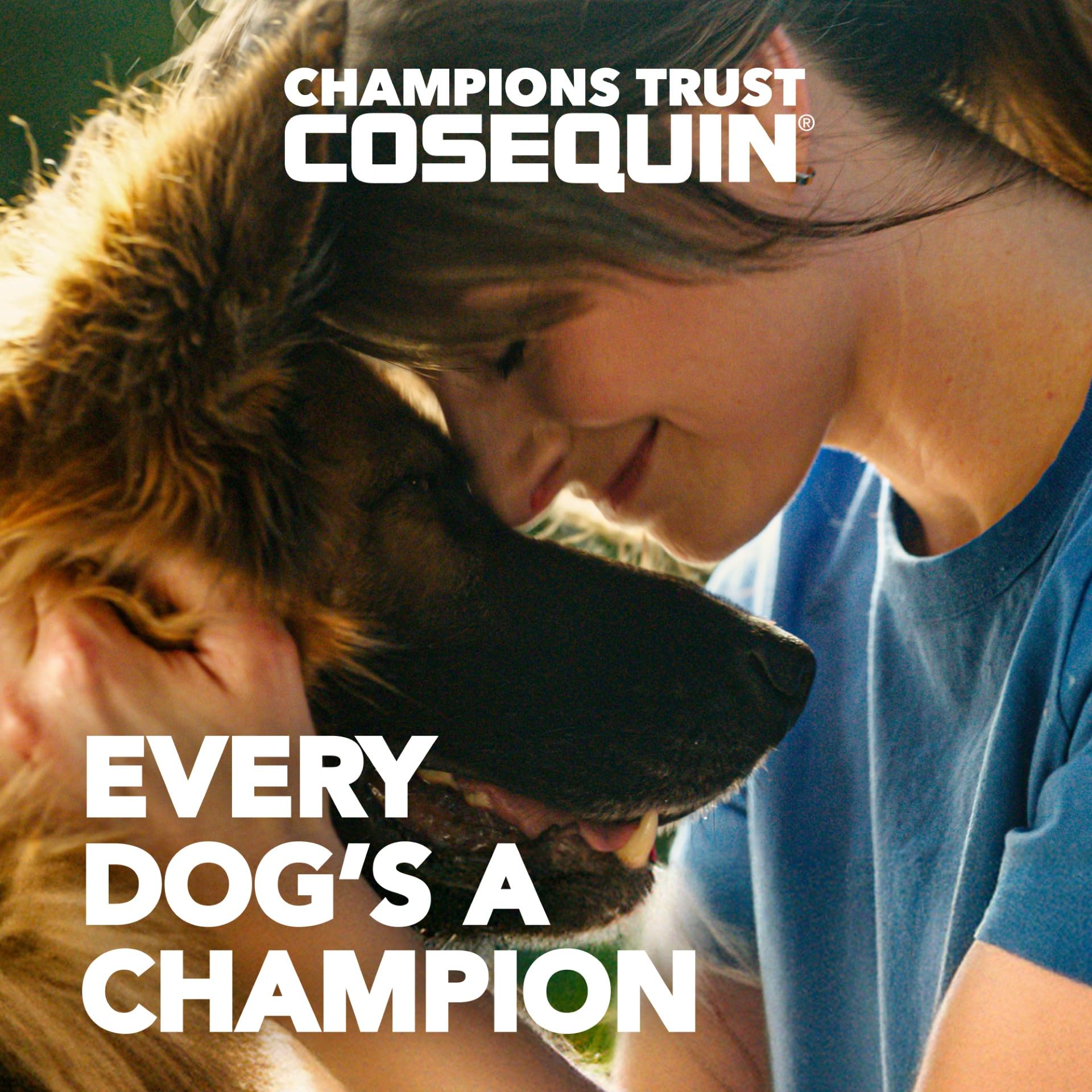Nutramax Cosequin: presentación en caja para perros con 250 unidades