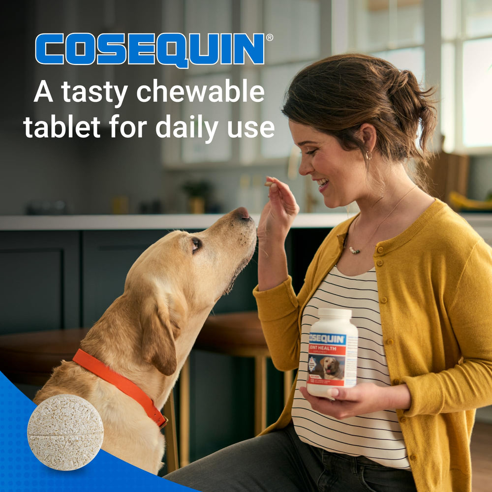 Tabletas masticables Nutramax Cosequin en uso diario para perros