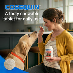 Tabletas masticables Nutramax Cosequin en uso diario para perros