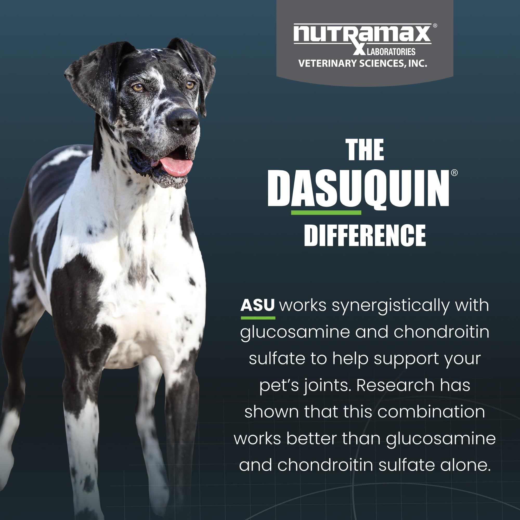 Boswellia serrata en Dasuquin: ingredientes naturales para apoyoarticular en perros grandes.