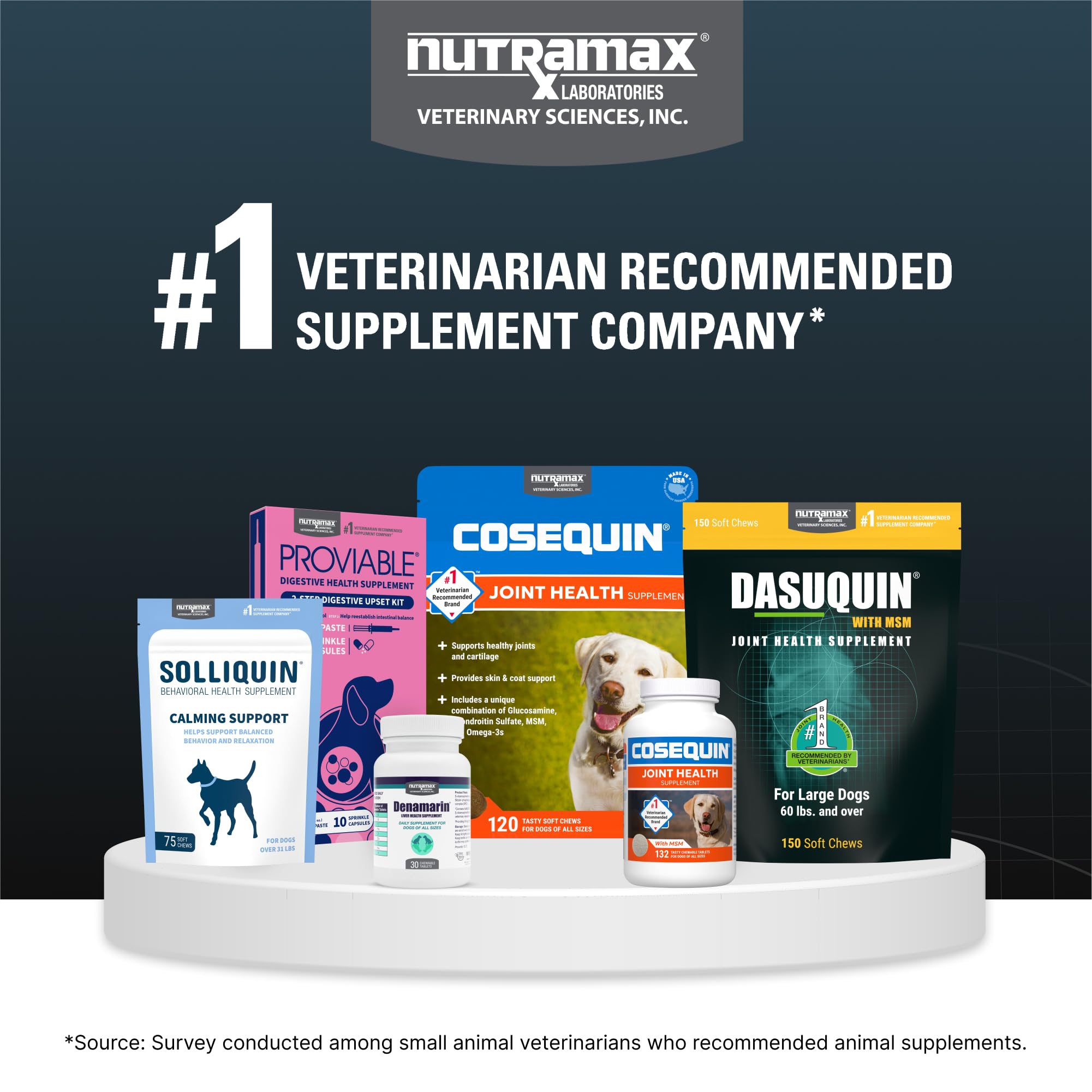 Uso diario de Nutramax Dasuquin para perros grandes, cuidado articular estable.