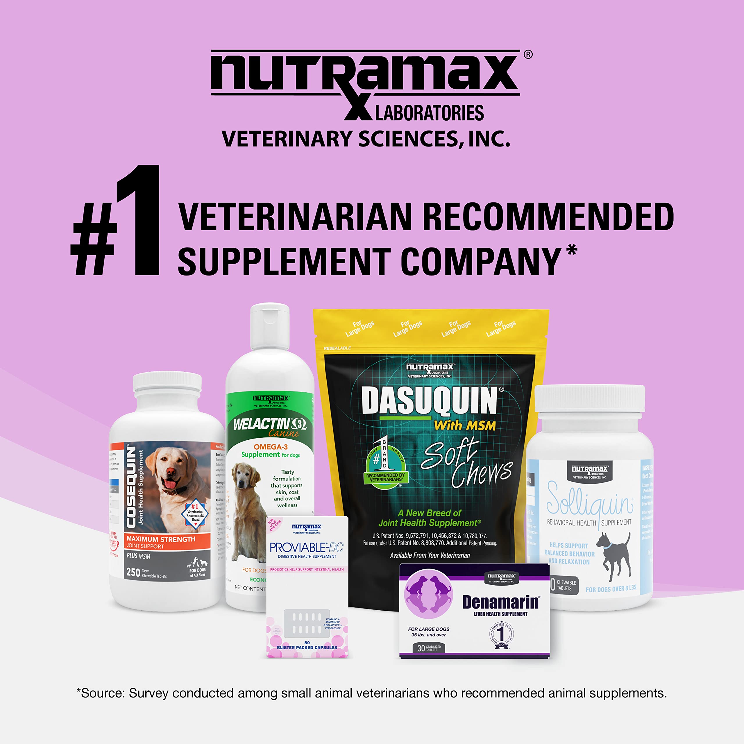 Denosyl de Nutramax podría contribuir al bienestar diario.
