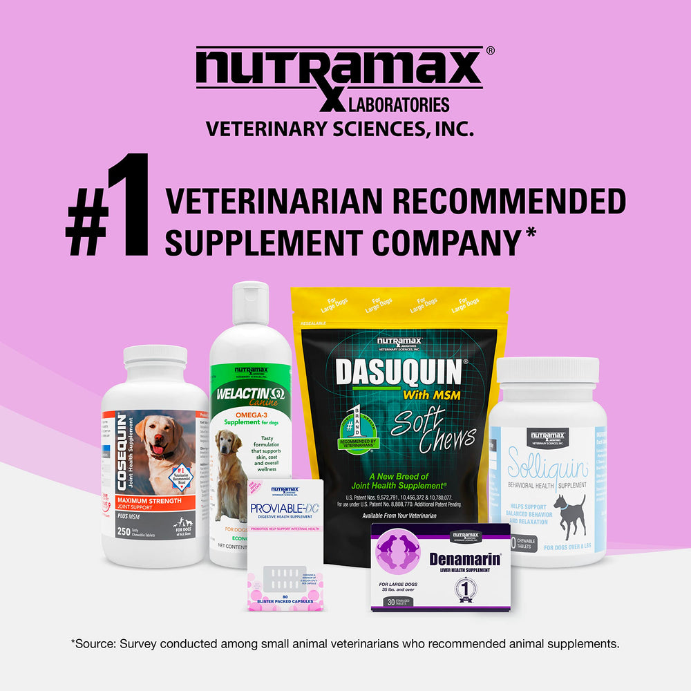 Denosyl de Nutramax podría contribuir al bienestar diario.