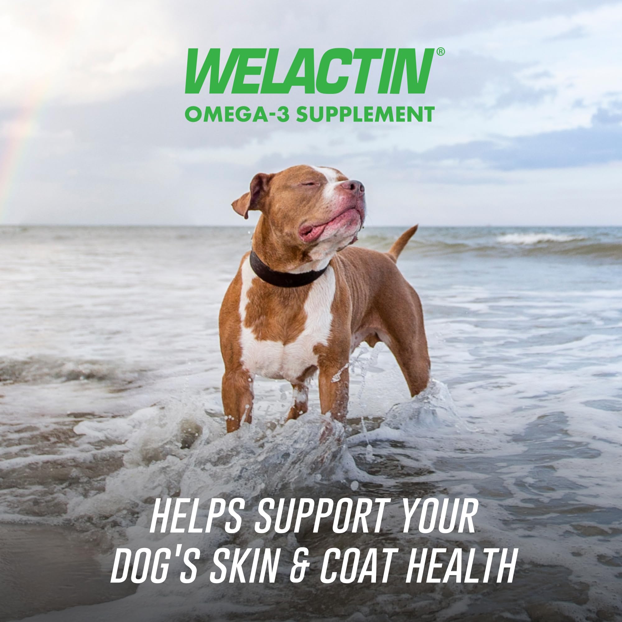 Welactin de Nutramax masticables suaves para uso diario de perros.
