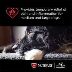 Nutri-Vet Aspirina para perros grandes, fabricado en EE. UU., norma de calidad.