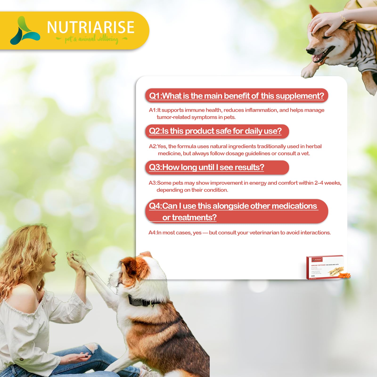 Mascota en casa con Nutriarise Defensa Inmune para bienestar diario