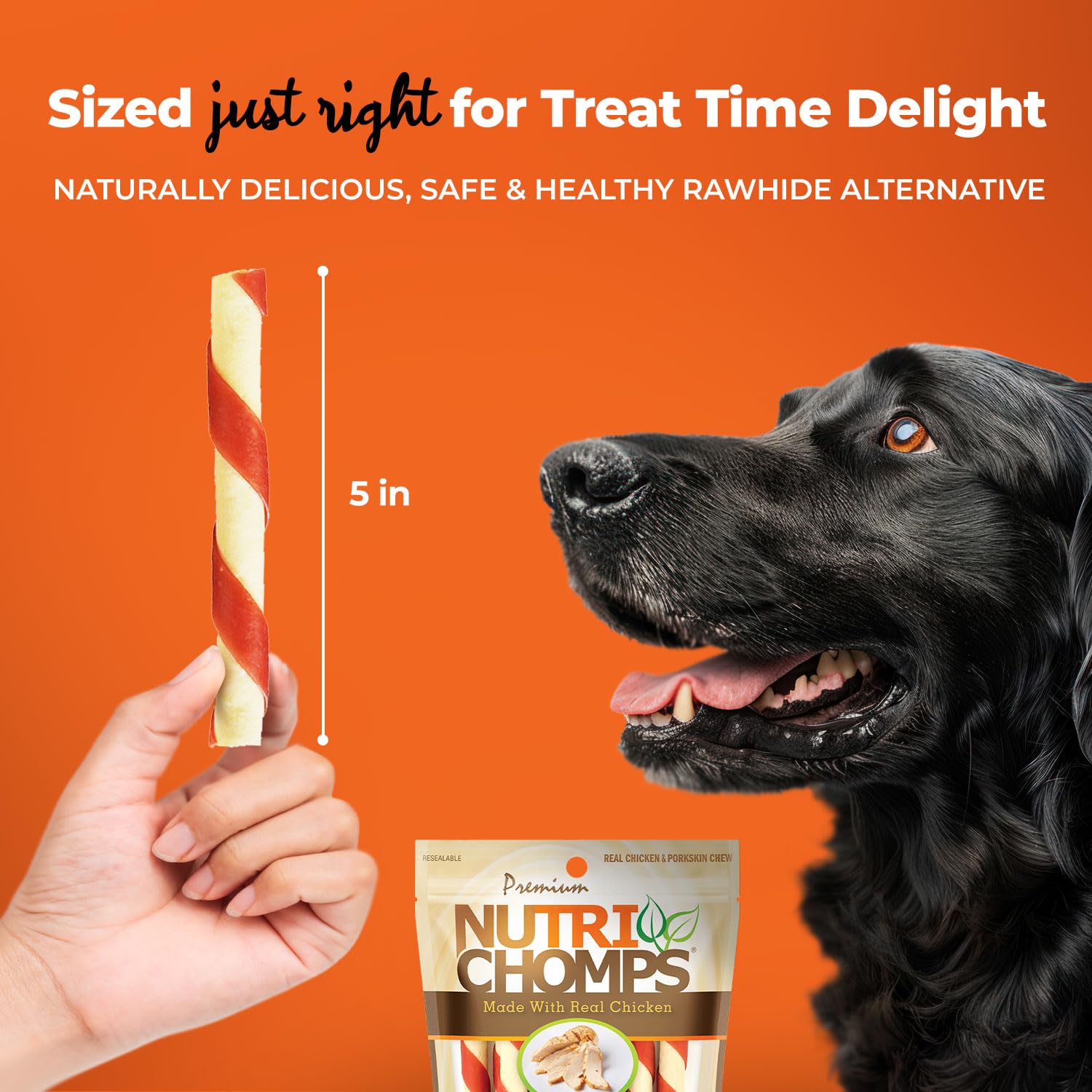 NutriChomps arôme lait – texture appétissante et agréable pour chien