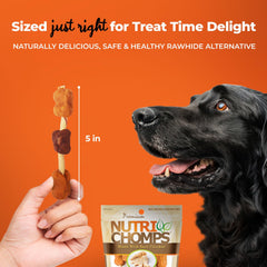 NutriChomps brochetas 5 pulgadas sin cueros crudos para digestión fácil.