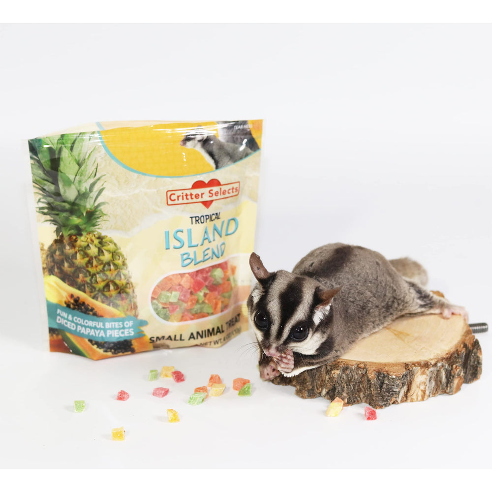 Nutrición Exótica Mezcla Isleña: cubos de piña y papaya, snack colorido y natural para frugívoros