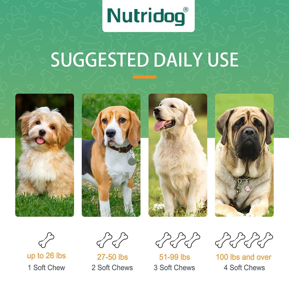 Nutridog envase de 120 chuches salmón: conveniencia diaria para perros