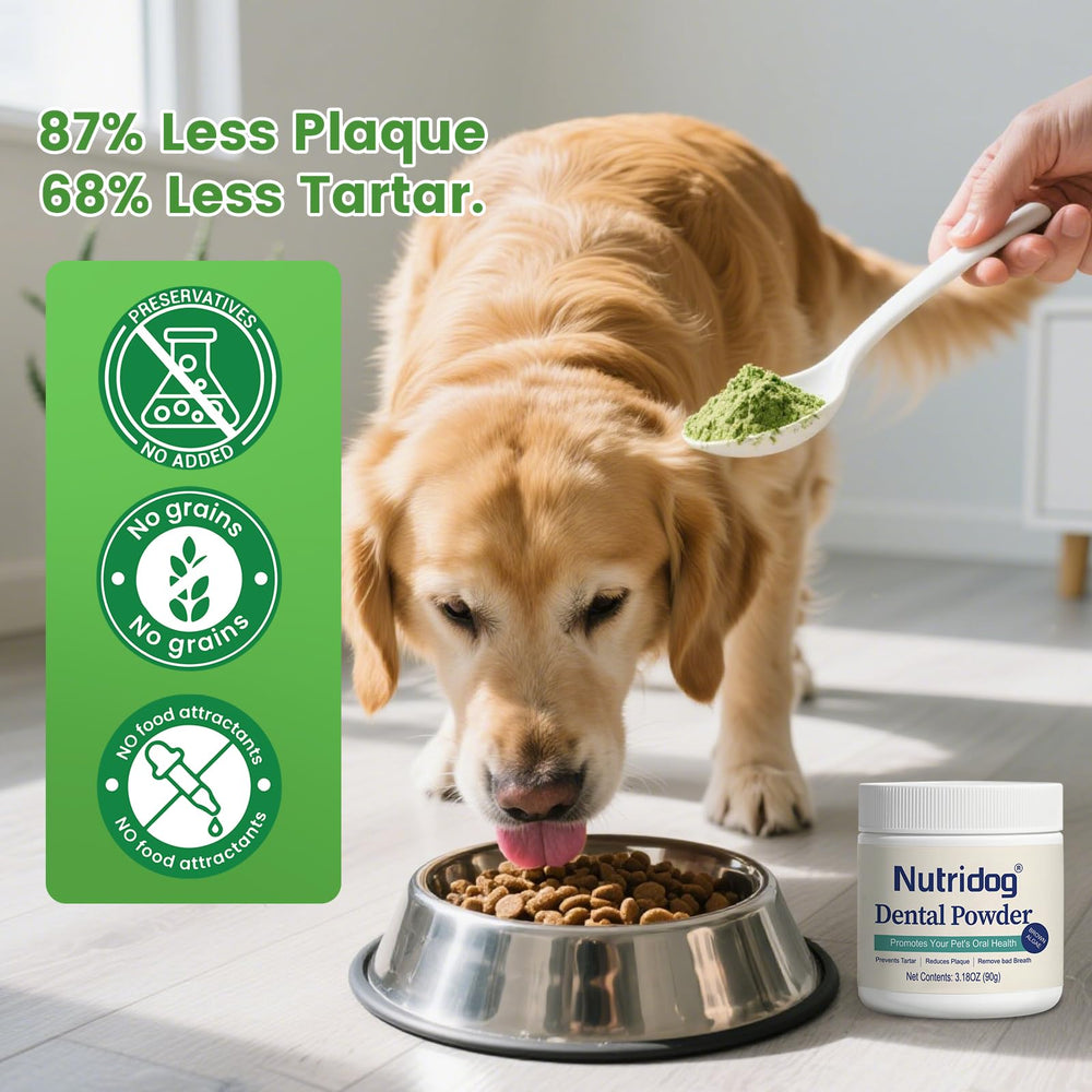Nutridog extracto de romero y te verde para aroma fresco