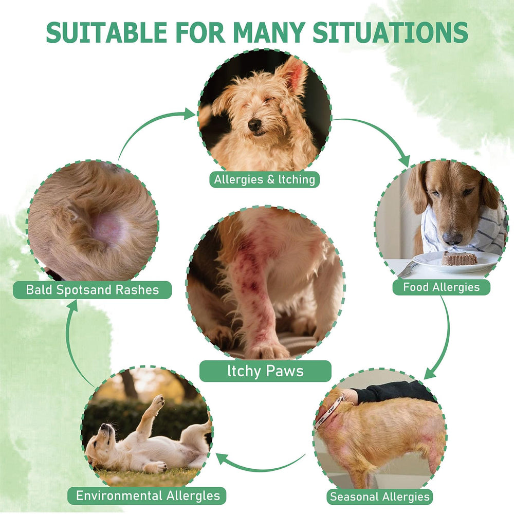 Nutridog inulina prebiótico: favorece la salud intestinal