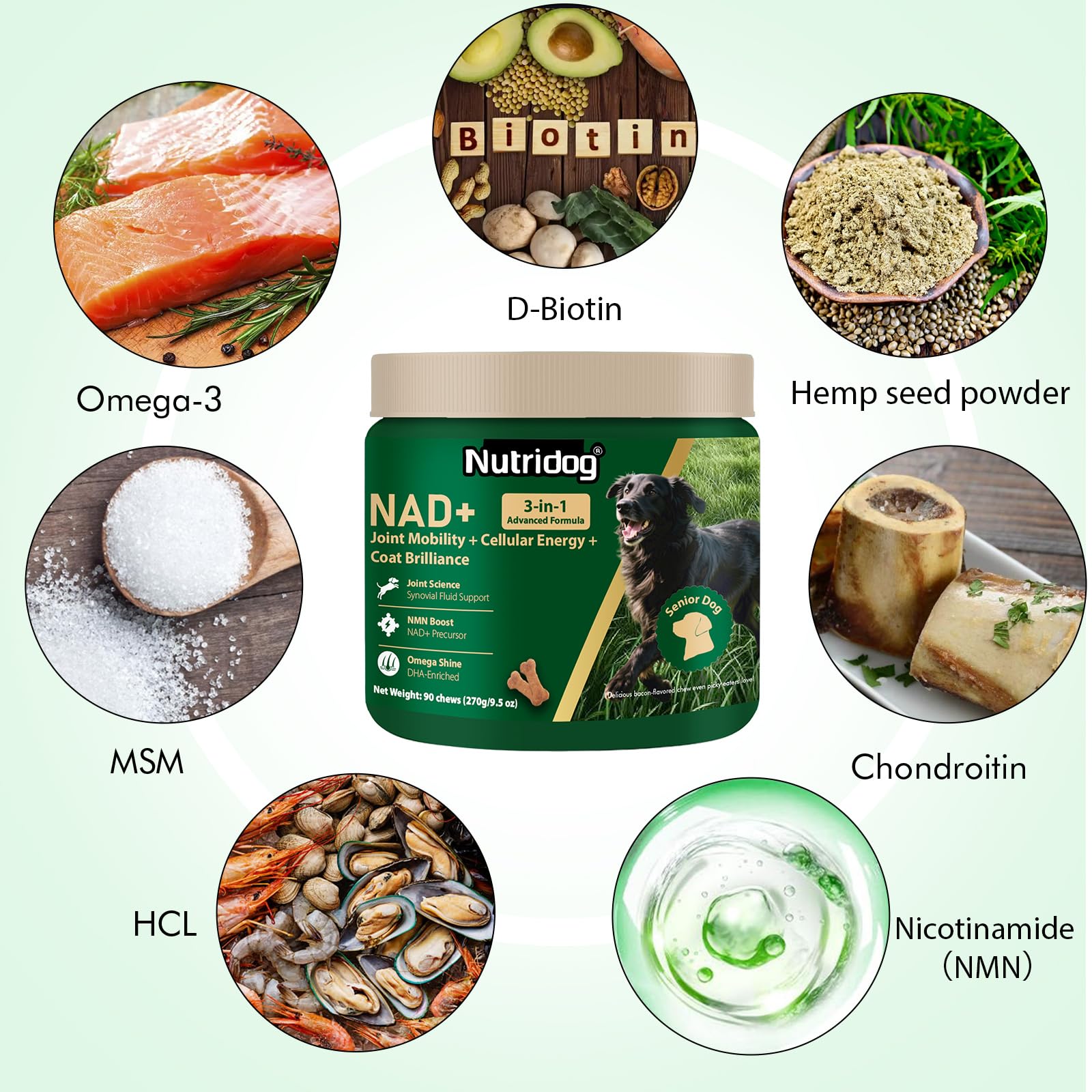 NutriDog NMN con resveratrol y CoQ10, ingredientes clave