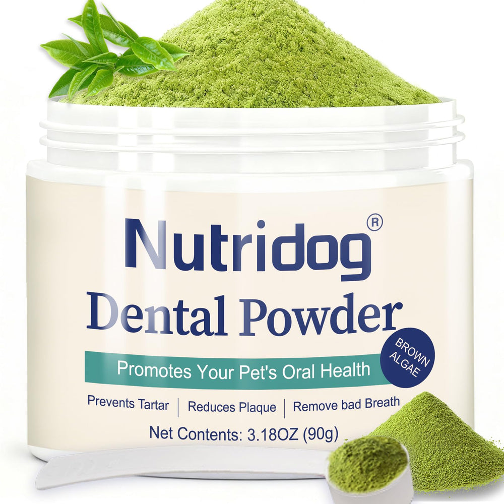 Nutridog polv o dental 90 g para cuidado bucal diario de perros y gatos