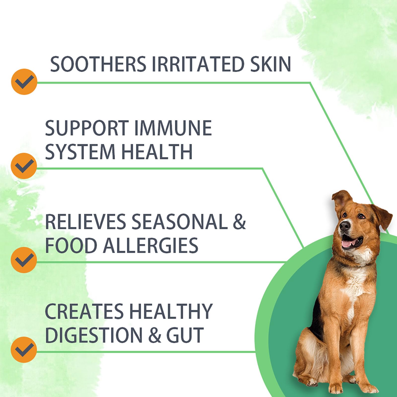 Nutridog sin granos y sin soja: fórmula suave para estómagos sensibles