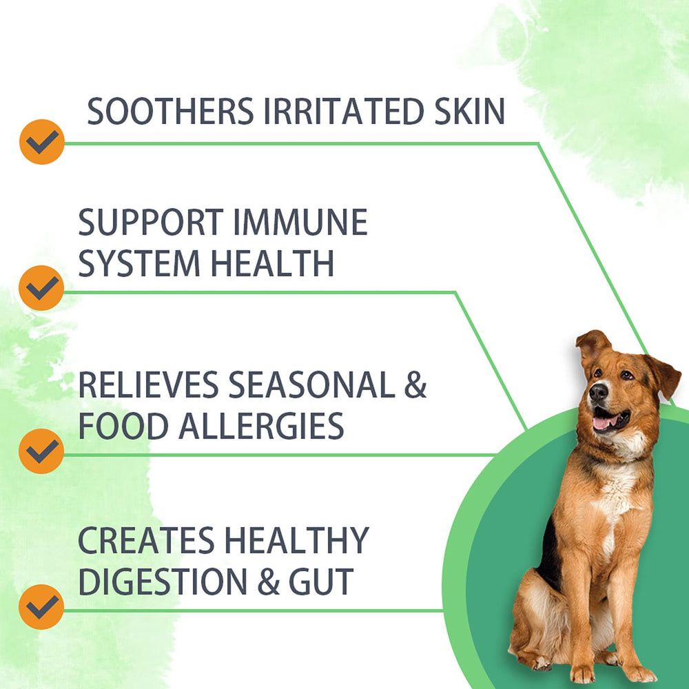 Nutridog sin granos y sin soja: fórmula suave para estómagos sensibles