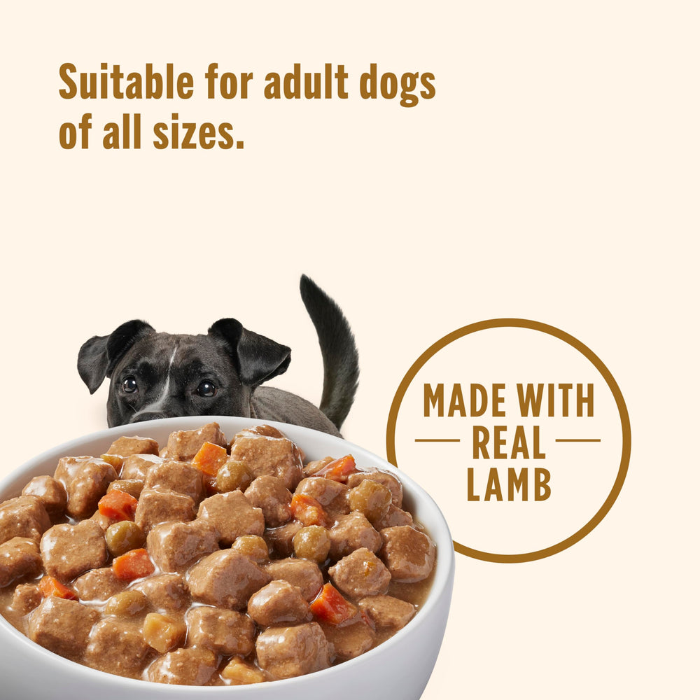 Nutrish apto para perros adultos; nutrición equilibrada para energía diaria.