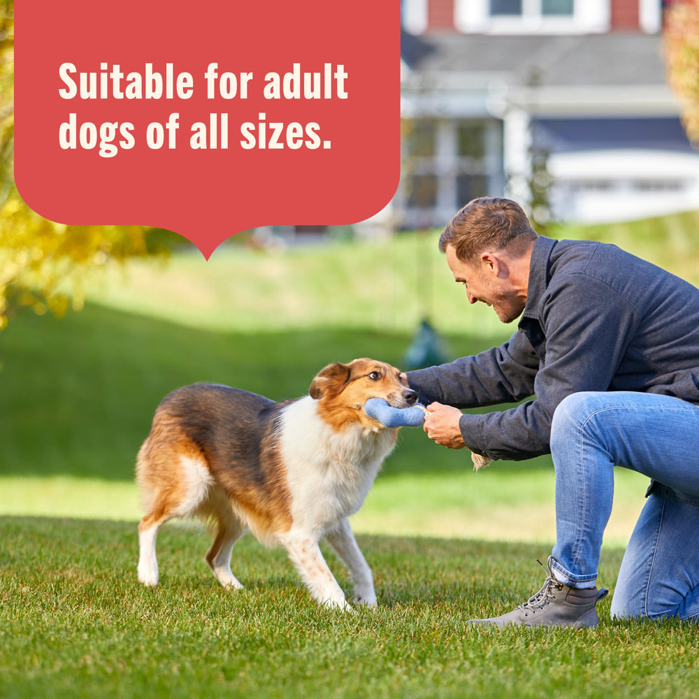 Nutrish paté natural para perros adultos, sin ingredientes innecesarios.