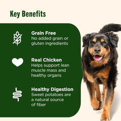 Nutrish patata dulce aporta fibra digestiva en croquetas caninas.