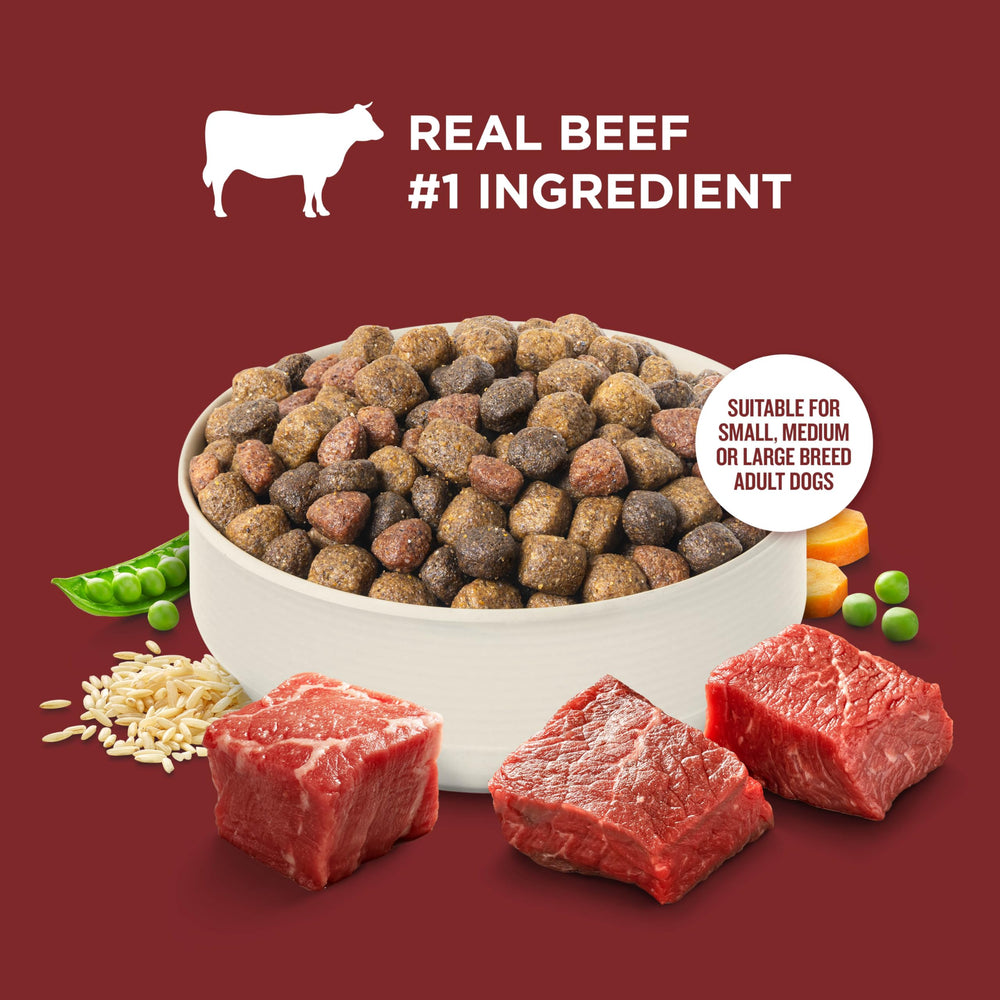 Nutrish Rachael Ray, mezcla de carne y granos de calidad para perros adultos.