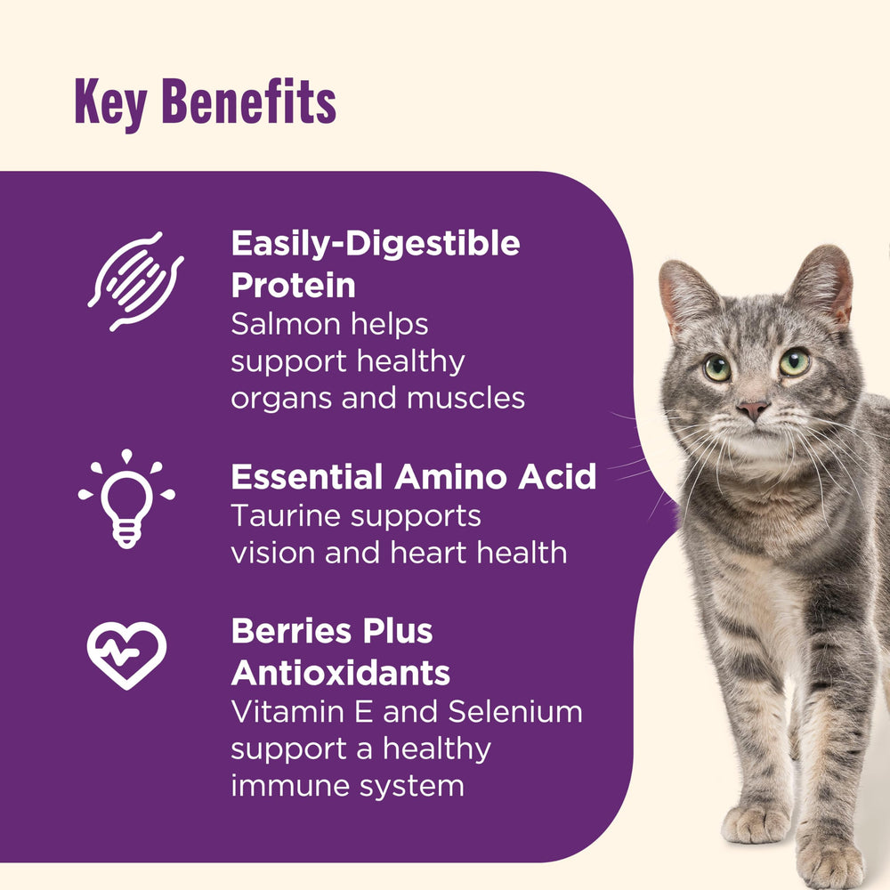 Nutrish Senior Healthy Aging, arándanos antioxidantes para sistema inmune.