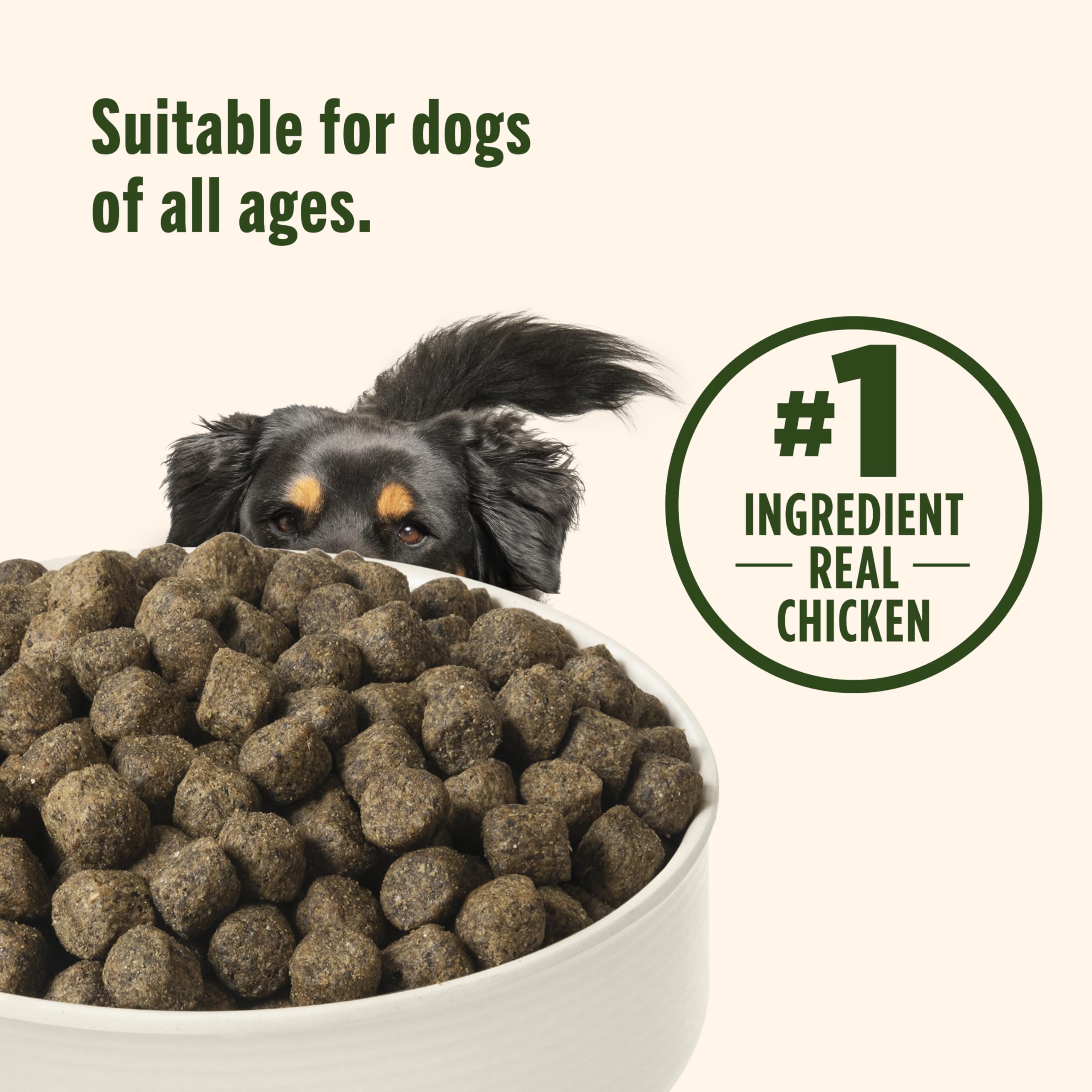 Nutrish sin preservantes artificiales, opción más limpia para la dieta canina.