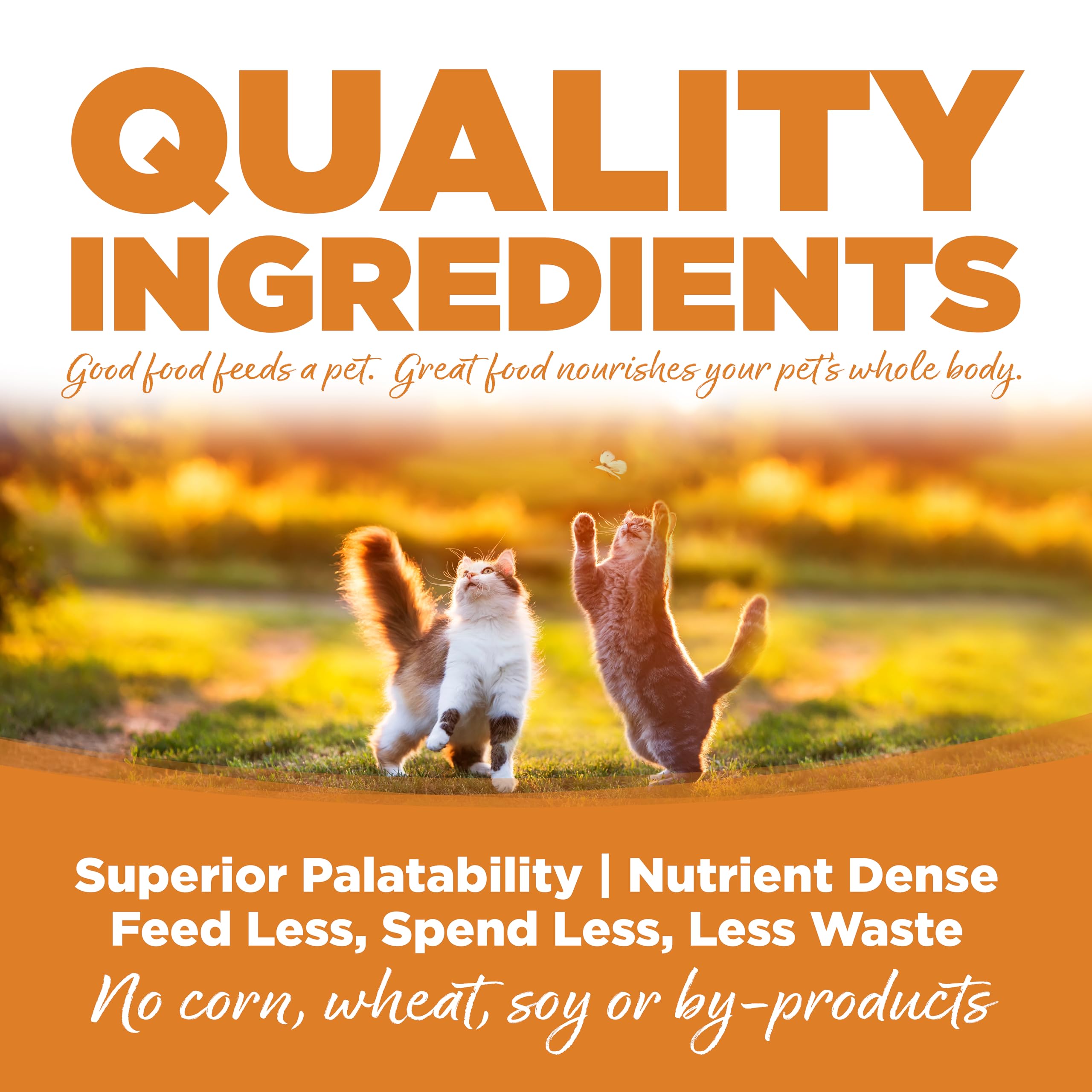 NutriSource pack de doce latas para alimentación conveniente