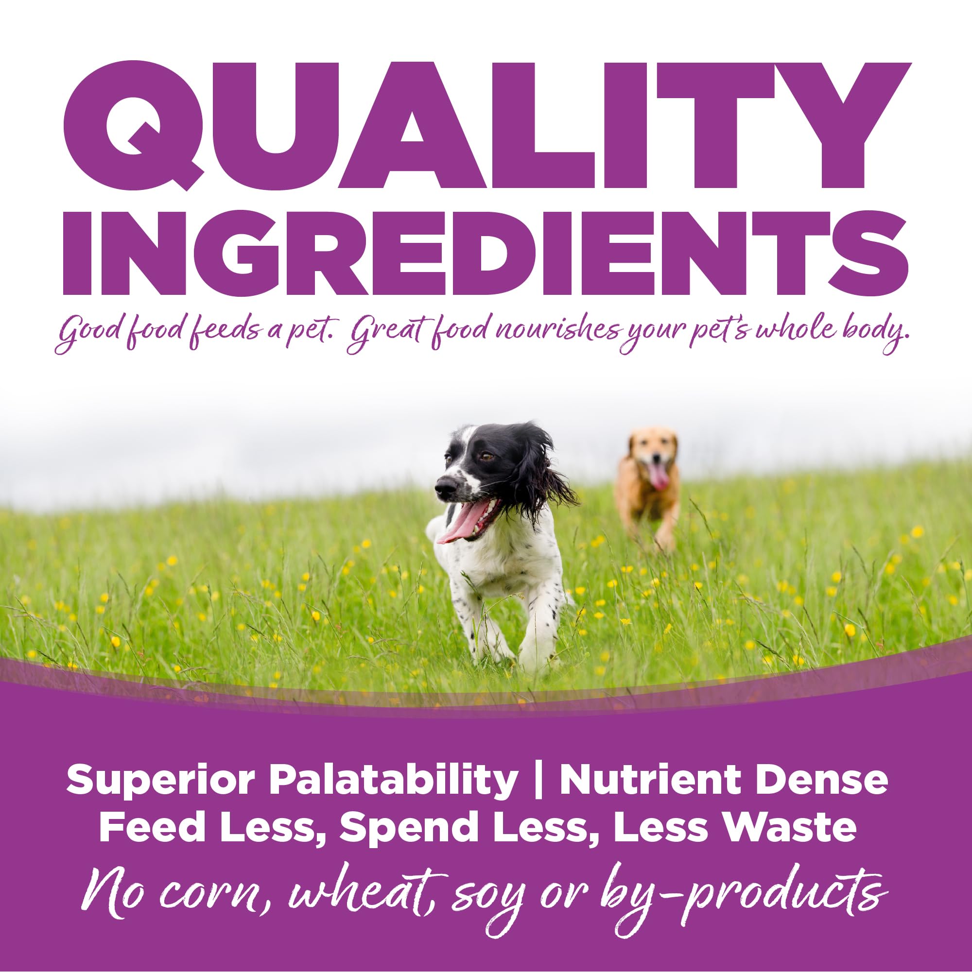 NutriSource con omega-3 y omega-6 para un sistema cardiovascular saludable.