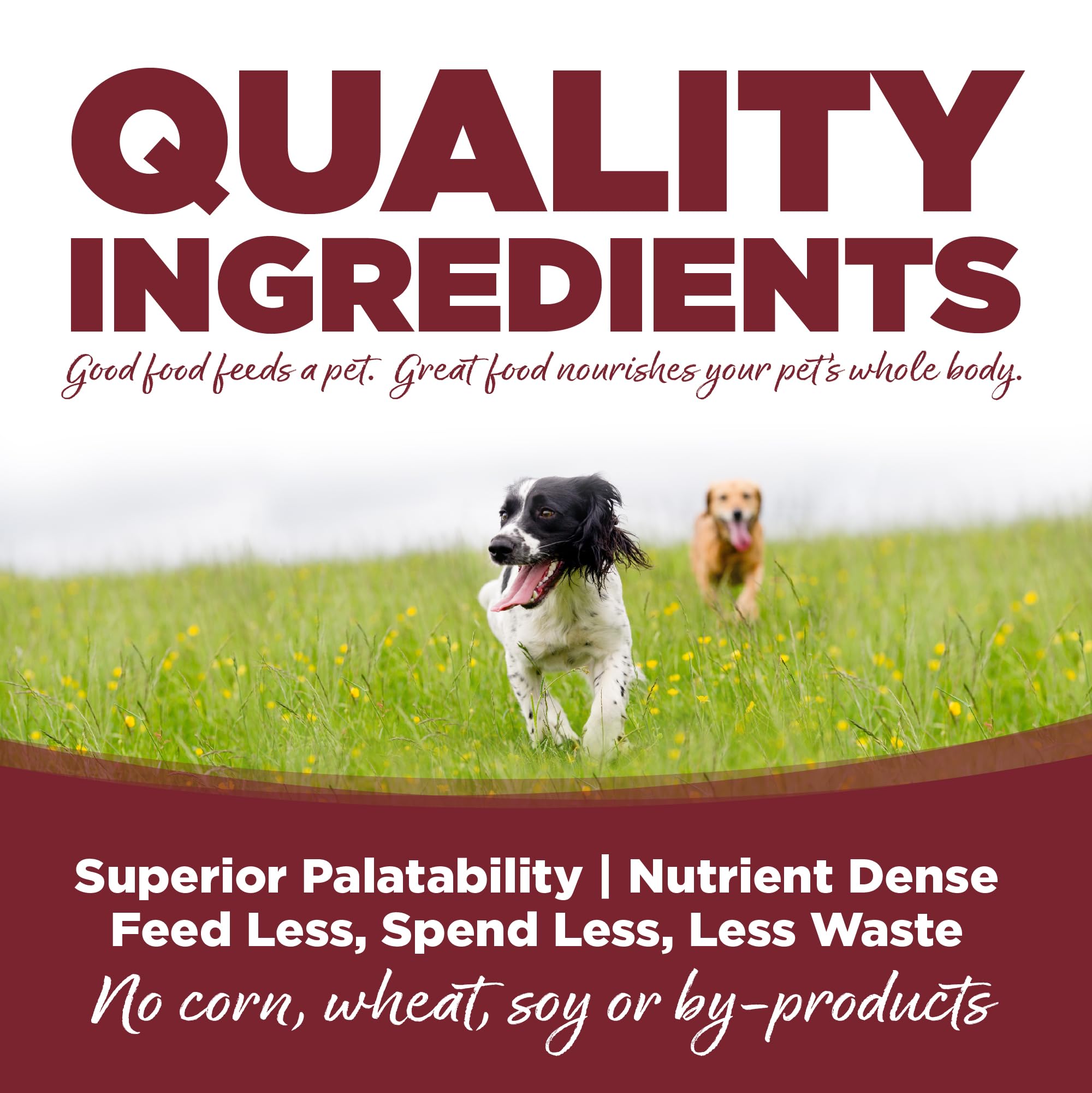 NutriSource con omega-3 y omega-6 para pelaje saludable.