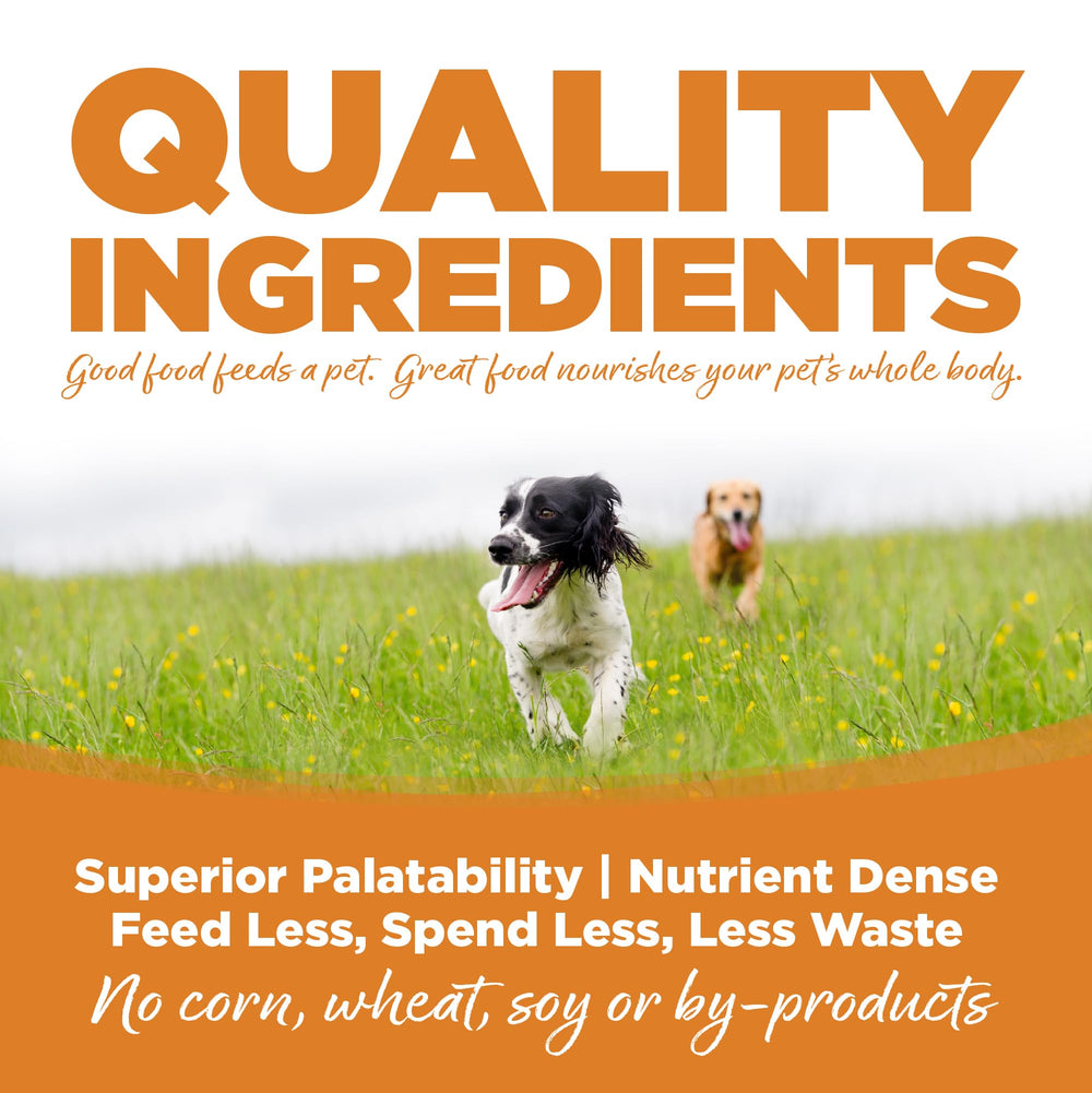 NutriSource: perro comiendo en cuenco, experiencia sabrosa y satisfactoria.